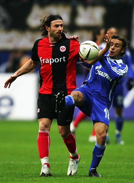 斯的决定是 斯的决定是